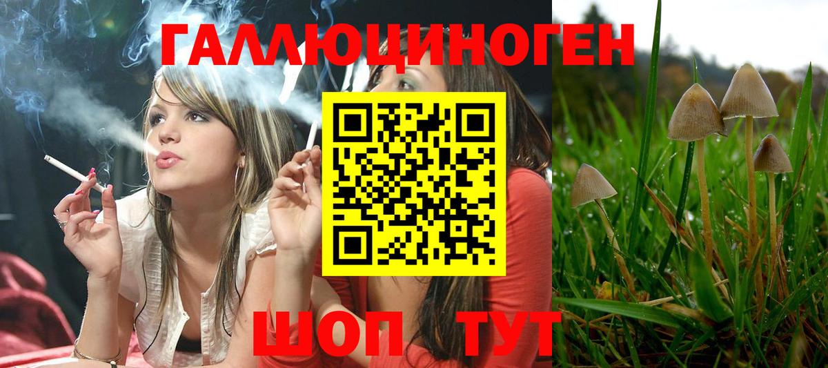 Галлюциногенные грибы прущие грибы Озёрск